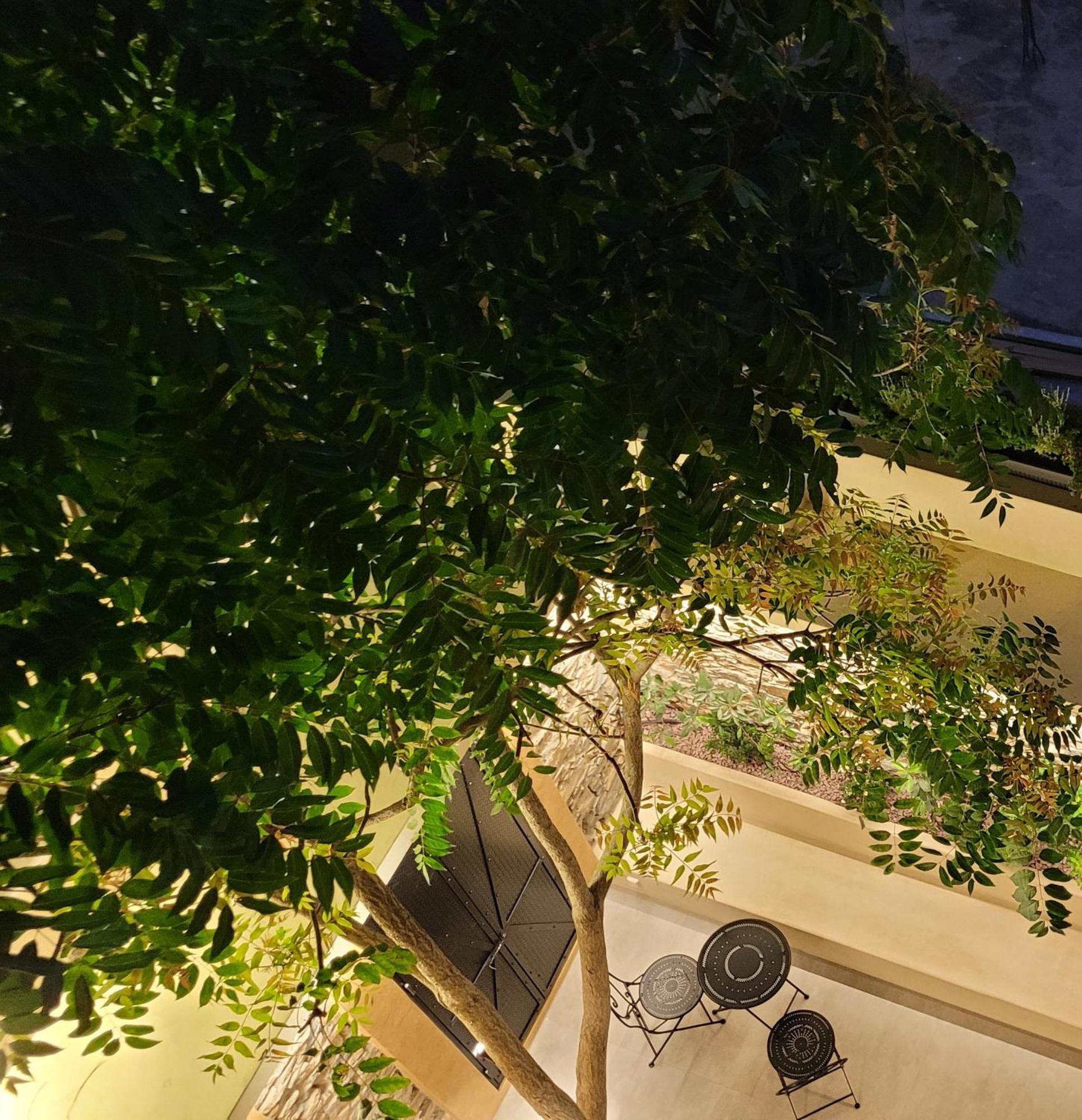 Luxury - Le Petit Bati Apartment