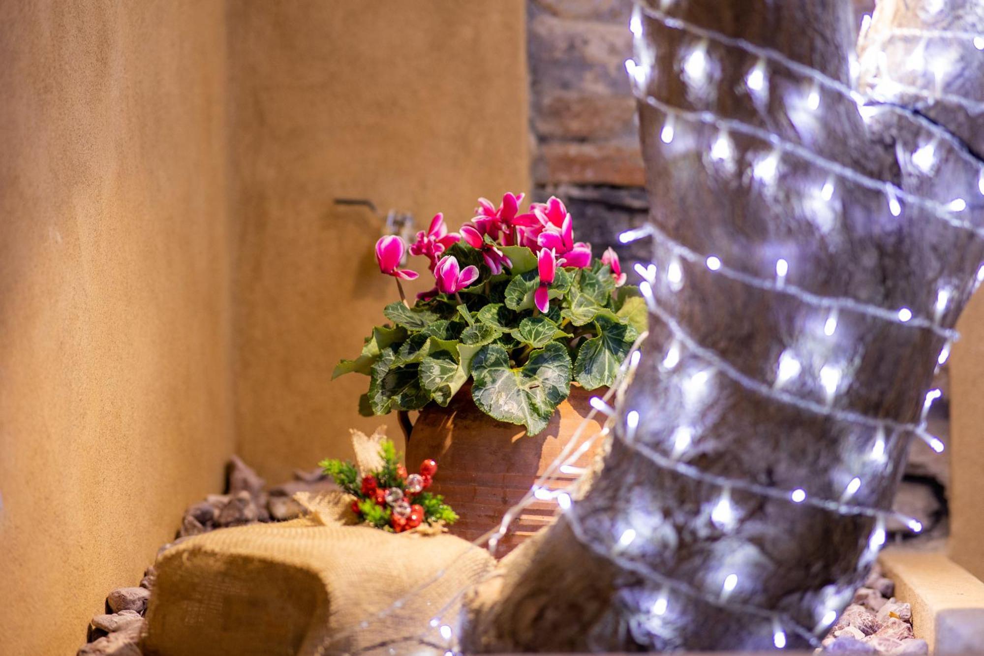 Apartment Luxury - Le Petit Bati *